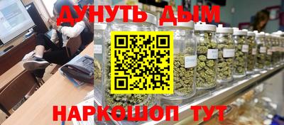 индика Нальчик