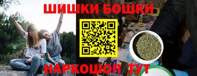 индика Нальчик
