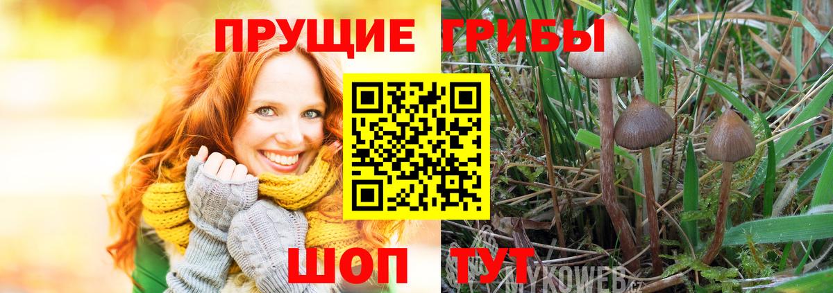 Псилоцибиновые грибы ЛСД  Вход с VPN  сколько стоит  Тайшет 