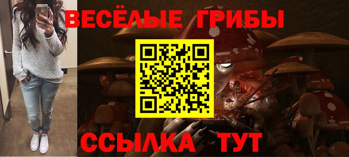 Псилоцибиновые грибы MAGIC MUSHROOMS Тайшет