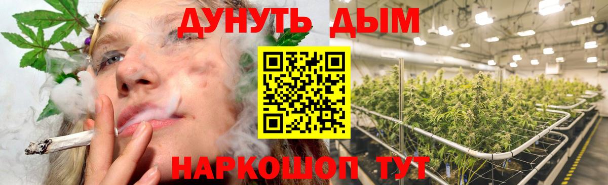 Бошки Шишки планчик Тайшет